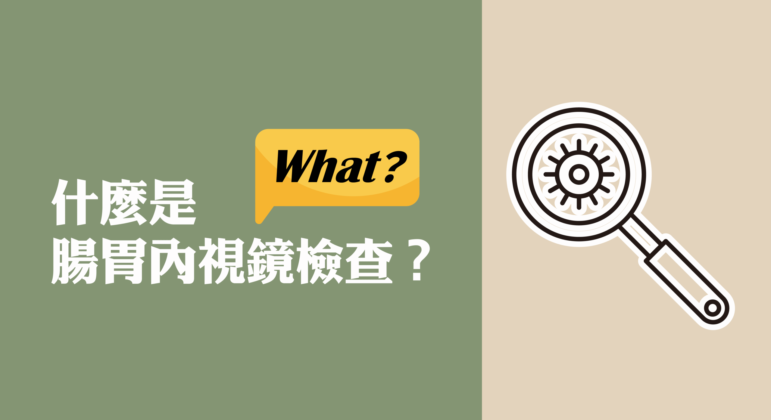 什麼是腸胃內視鏡檢查?